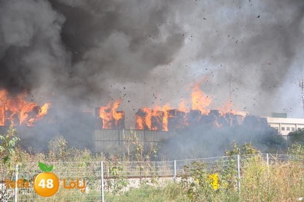 firecartoonsecnd506 (12).JPG